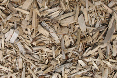 biomass boilers Bedmond